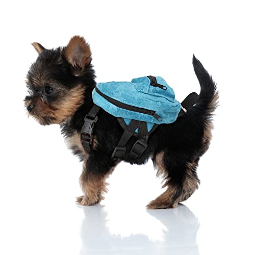 DONGKER Rucksack für Klein Hunde mit 1,2 m Leine, Nette Kleiner Hundebackpack mit Kotbeutelspender zum täglichen Wandern für kleine Hunde von DONGKER