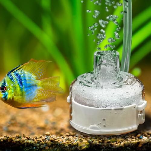 DONGKER Mini Aquarium Filter, Abnehmbarer Nano Fischschaumfilter mit Physikalisch Schwammfilter und Biochemischen Filtermaterial für 1-5 Gallonen Kleine Aquarien (Luftpumpe Nicht enthalten) von DONGKER