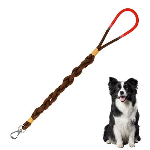 Hundeleine, 80cm Lange Geflochtene Hunde Leine, Langlebig und Stilvoll Hund Trainingsleine mit rutschfest Griff für kleine bis große Hunde (zu 6,9 bis 60 kg) von DONGKER