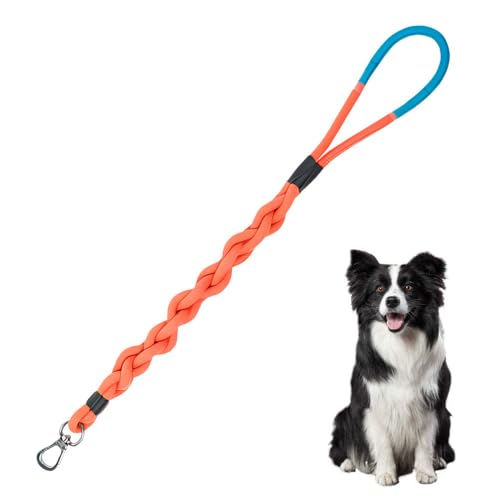 Hundeleine, 80cm Lange Geflochtene Hunde Leine, Langlebig und Stilvoll Hund Trainingsleine mit rutschfest Griff für kleine bis große Hunde (zu 6,9 bis 60 kg) von DONGKER