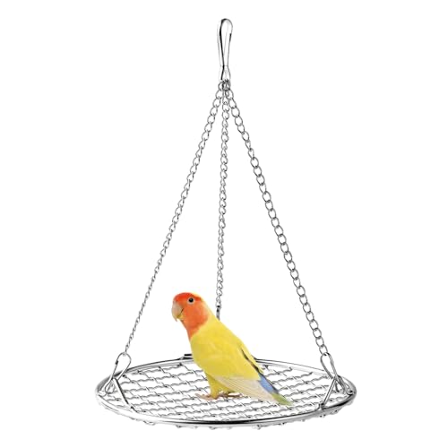 Vogel Hängematte, 1 Stuck Edelstahl Hängende Vogel Spielzeug, Nestschaukel zum Aufhängen für Sittiche, Nymphensittiche, Conures, Wellensittiche, Kanarienvögel, Unzertrennliche, Finken Vogel Hängematte, 1 Stuck Edelstahl Hängende Vogel Spielzeug, Nestschaukel zum Aufhängen für Sittiche, Nymphensittiche, Conures, Wellensittiche, Kanarienvögel, Unzertrennliche, Finken von DONGKER