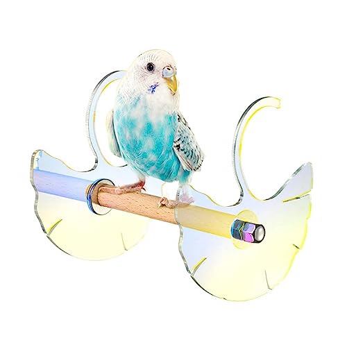 DONGKER Vogel Papagei Spielzeuge, Acryl Hummingbird Swing Chair Perch, Niedlich Vogelschaukeln Sitzstange Vogelspielplatz für Nymphensittich, Finken, kleine Sittiche, Wellensittich von DONGKER