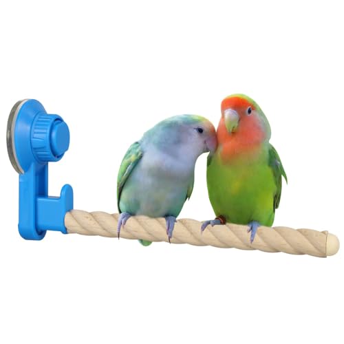 Vogel-Sitzstangen mit Saugnapf, 1 Stuck 20cm Sitz-Stange, Ständer Spielzeug für kleine und mittelgroße Vögel, Papageien, Sittiche, Nymphensittiche, Conures, Wellensittiche, Unzertrennliche von DONGKER