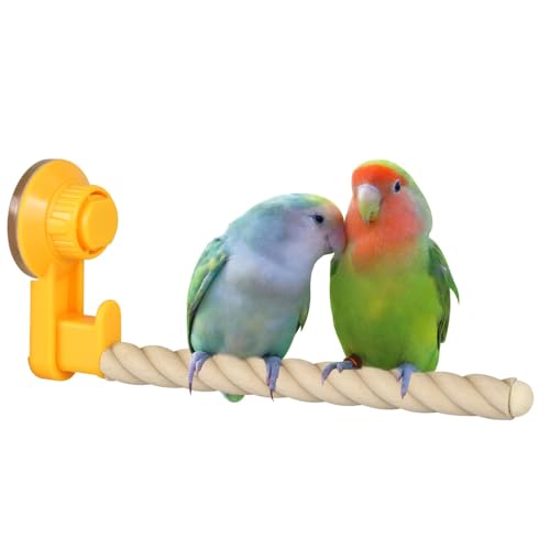 Vogel-Sitzstangen mit Saugnapf, 1 Stuck 20cm Sitz-Stange, Ständer Spielzeug für kleine und mittelgroße Vögel, Papageien, Sittiche, Nymphensittiche, Conures, Wellensittiche, Unzertrennliche von DONGKER