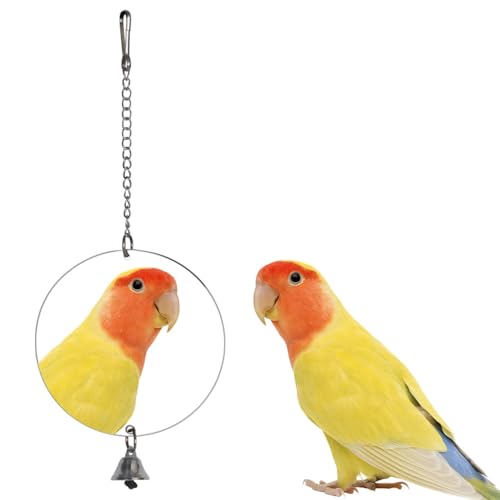 Vogelspiegel, Hängendes Vogel Glocke Spielen Spielzeug, Edelstahl Papageienspiegel mit Haken und Glöckchen für Vögel, Papageien, Sittiche, Wellensittiche, Finken, Kanarienvögel, Nymphensittiche von DONGKER