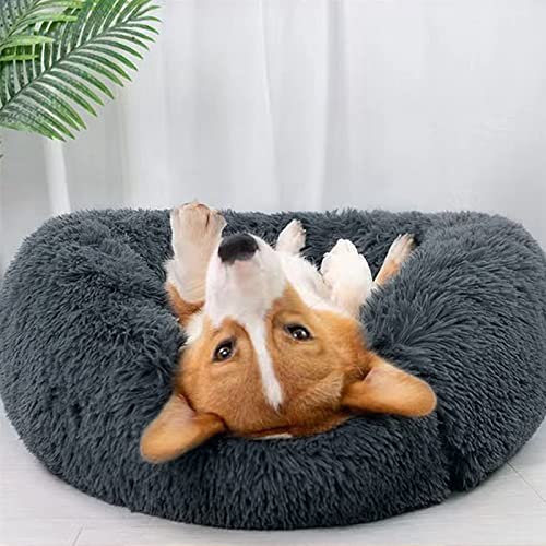 Katzenbett Hundebett, Kuscheliges und Weiches Flausching Hundebett und Katzenbett,Kompressionswiderstand und Waschbar Donut Haustierbett, für Kleine Bis Mittelgro ß e Hunde und Katzen(50CM,Dunkelgrau) von DONWEI