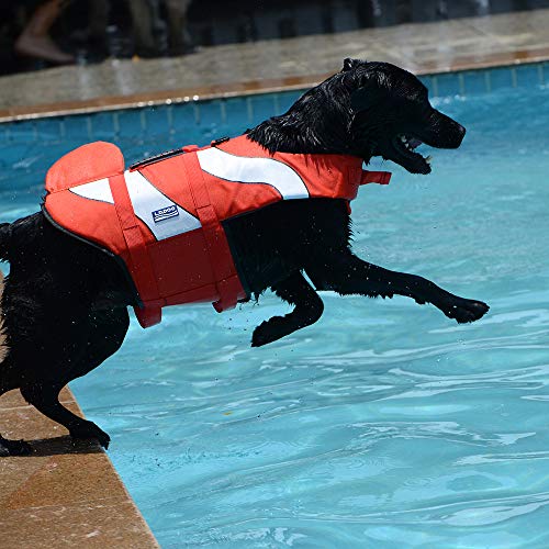 Regenmäntel Für Hunde, Hunde-Schwimmweste, Weste, Schoner, Sicherheits-Badeanzug, Preserver Mit Verstellbarem Gürtel,B,L von DOPORA