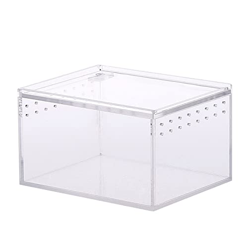 Box Fütterung für kleine Haustiere, gehörnte Eidechsen, Schnecke, Schlange, transparent, für Seidenraupen, Schlangenhaus-Substrate für Dekorationen Box Fütterung für kleine Haustiere, gehörnte Eidechsen, Schnecke, Schlange, transparent, für Seidenraupen, Schlangenhaus-Substrate für Dekorationen von DOSERTY