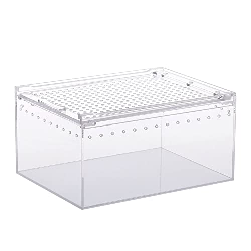 Box Fütterung für kleine Haustiere, gehörnte Eidechsen, Schnecke, Schlange, transparent, für Seidenraupen, Schlangenhaus-Substrate für Dekorationen Box Fütterung für kleine Haustiere, gehörnte Eidechsen, Schnecke, Schlange, transparent, für Seidenraupen, Schlangenhaus-Substrate für Dekorationen von DOSERTY