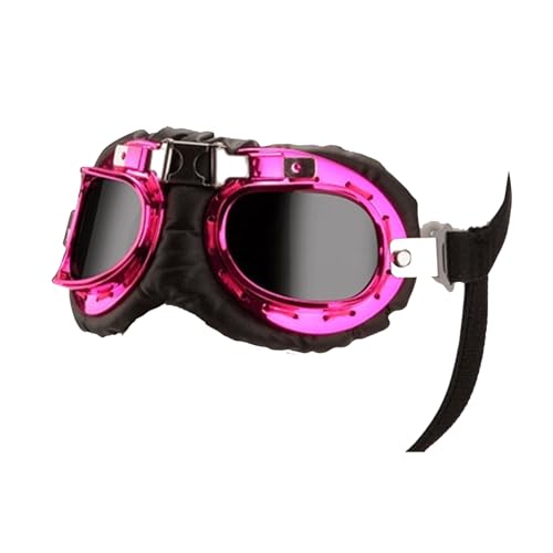 Haustierhundgläser Sonnenschutz Hunde Sonnenbrille Kühle Foto Dressing Brille Strand Urlaub Hundezubehör Haustierhundgläser Sonnenschutz Hunde Sonnenbrille Kühle Foto Dressing Brille Strand Urlaub Hundezubehör von DOSERTY