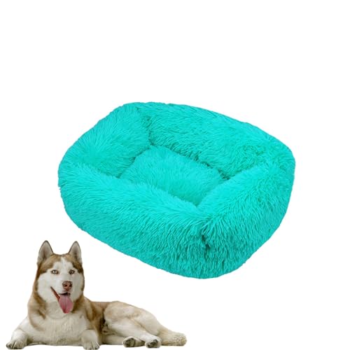 DOTBUY-SHOP Hundebet Rechtwinklig Katzenbett, Hundekissen Grosse Hunde Donut Kissen Herbst und Winter, Waschbar Plüsch-Hundekorb Hundebett, für Mittel Hunde Katzen (L,Türkisblau) von DOTBUY-SHOP