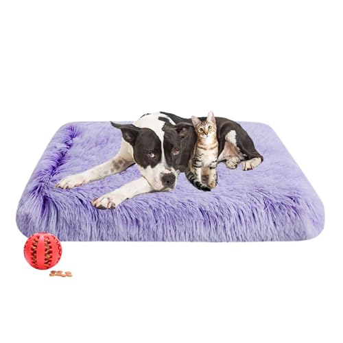 DOTBUY-SHOP Hundebet Rechtwinklig Katzenbett, Hundekissen Grosse Hunde Donut Kissen Herbst und Winter, Waschbares und Abnehmbares Plüsch-Hundekorb Hundebett mit Reißverschluss (2XL,Violett) von DOTBUY-SHOP