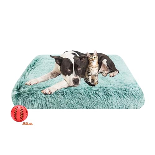 DOTBUY-SHOP Hundebet Rechtwinklig Katzenbett, Hundekissen Grosse Hunde Donut Kissen Herbst und Winter, Waschbares und Abnehmbares Plüsch-Hundekorb Hundebett mit Reißverschluss (XL,Grün) von DOTBUY-SHOP