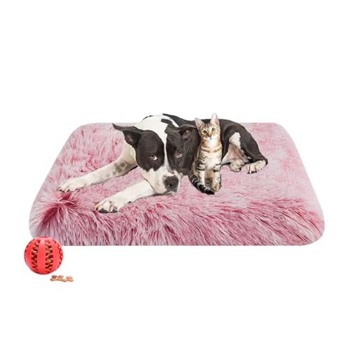 DOTBUY-SHOP Hundebet Rechtwinklig Katzenbett, Hundekissen Grosse Hunde Donut Kissen Herbst und Winter, Waschbares und Abnehmbares Plüsch-Hundekorb Hundebett mit Reißverschluss (XL,Pfirsich Rosa) von DOTBUY-SHOP