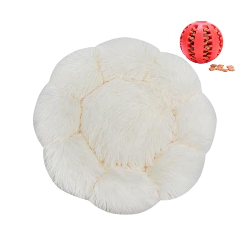 DOTBUY-SHOP Hundebet Rundes Katzenbett, Hundekissen Grosse Hunde Donut Kissen Herbst und Winter, Blütenblätter Plüsch-Hundekorb Hundebett, für Mittel Hunde Katzen (70 cm,Weiß) von DOTBUY-SHOP