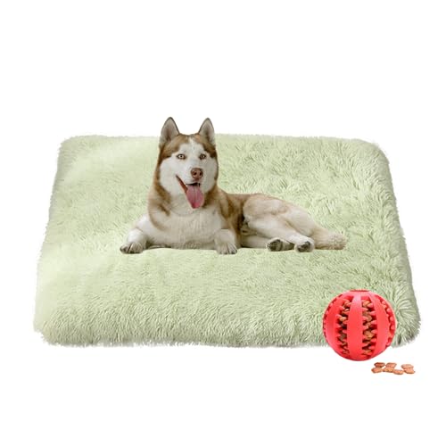 DOTBUY-SHOP Hundebet Rundes Katzenbett, Hundekissen Grosse Hunde Rechteckig Kissen, Plüsch-Hundekorb Hundebett Waschbar, für Groß Hunde, Katzen und Herbst und Winter (100X75cm,Hellgrün) von DOTBUY-SHOP