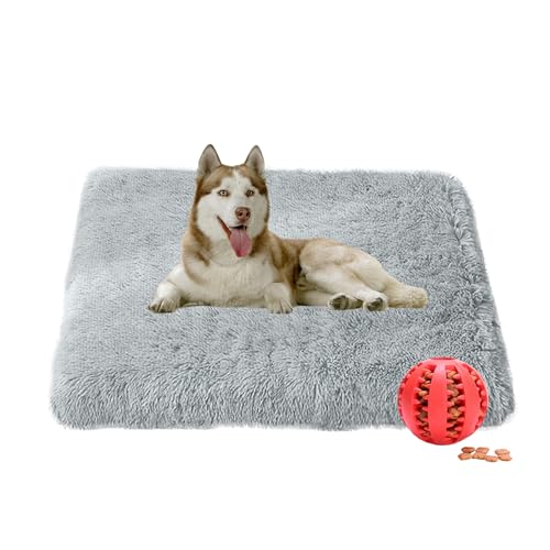 DOTBUY-SHOP Hundebet Rundes Katzenbett, Hundekissen Grosse Hunde Rechteckig Kissen, Plüsch-Hundekorb Hundebett Waschbar, für Groß Hunde, Katzen und Herbst und Winter (120X75cm,Grau) von DOTBUY-SHOP