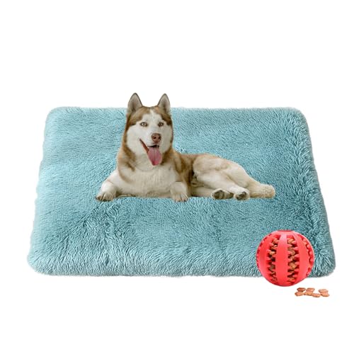 DOTBUY-SHOP Hundebet Rundes Katzenbett, Hundekissen Grosse Hunde Rechteckig Kissen, Plüsch-Hundekorb Hundebett Waschbar, für Groß Hunde, Katzen und Herbst und Winter (90X70cm,Himmelblau) von DOTBUY-SHOP