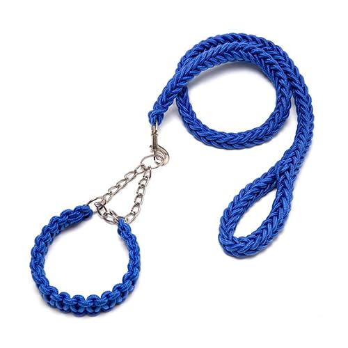 DOTEYAYP Strapazierfähiges Nylon-Hundehalsband, Leine, Set, 8 Stränge, Seil, geflochten, verstellbar, für kleine, mittelgroße und große Hunde (Größe S, Blau) von DOTEYAYP