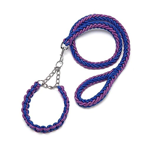 DOTEYAYP Strapazierfähiges Nylon-Hundehalsband, Leine, Set, 8 Stränge, geflochten, verstellbar, für kleine, mittelgroße und große Hunde (groß, blau und lila) von DOTEYAYP