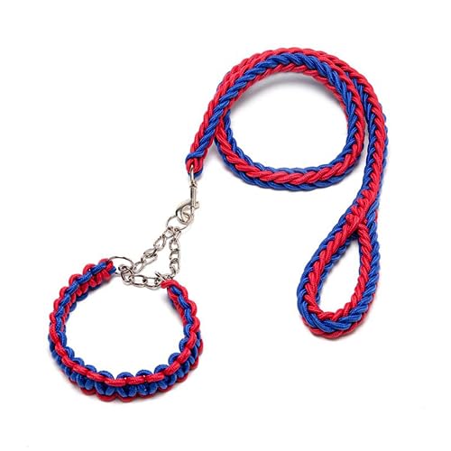 DOTEYAYP Strapazierfähiges Nylon-Hundehalsband, Leine, Set, 8 Stränge, geflochten, verstellbar, für kleine, mittelgroße und große Hunde (groß, blau und rot) von DOTEYAYP