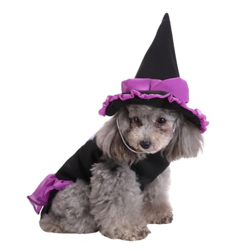 DOTEYAYP Welpen-Hexenkostüm für Halloween, Weihnachten, lustige Party, Cosplay, Kleidung für Katze, kleine Hunde (Größe M, Hexe) von DOTEYAYP