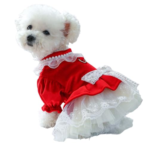 DOTEYAYP Winterkleid für Hunde, Prinzessinnenkleidung für kleine Hunde, leicht, Samt-Tüllkleid, Welpen, Weihnachtsbekleidung (Samll, Rot) von DOTEYAYP