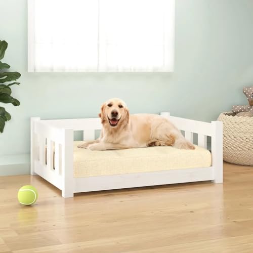 Hundebett, rechteckiges Hundesofa für Haustiere, erhöhtes Hundebett, Wohnzimmer, Innenbereich, weiß, 75,5 x 55,5 x 28 cm, stabiles Kiefernholz von DOUSMHII