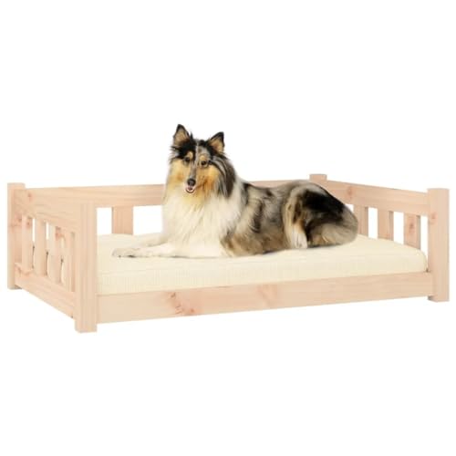 Hundebett, rechteckiges Hundesofa für Haustiere, erhöhtes Hundebett für Wohnzimmer, Innenbereich, Braun, 95,5 x 65,5 x 28 cm, Kiefernholz, robust von DOUSMHII