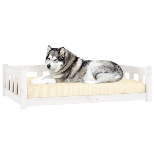 Hundebett, rechteckiges Hundesofa für Haustiere, erhöhtes Hundebett für Wohnzimmer, Innenbereich, weiß, 105,5 x 75,5 x 28 cm, stabiles Kiefernholz von DOUSMHII