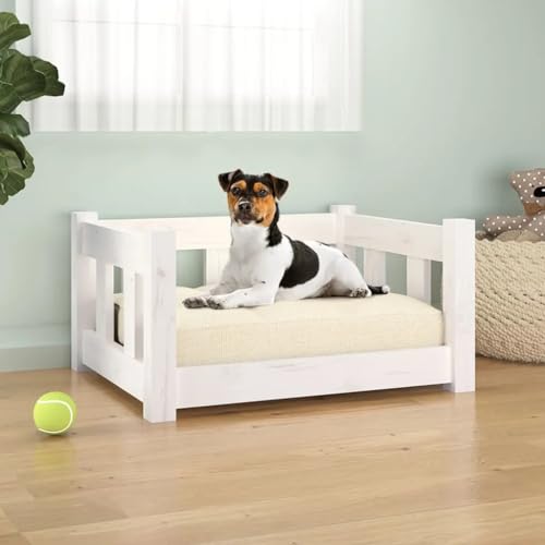 Hundebett, rechteckiges Hundesofa für Haustiere, erhöhtes Hundebett für Wohnzimmer, Innenbereich, weiß, 55,5 x 45,5 x 28 cm, stabiles Kiefernholz von DOUSMHII