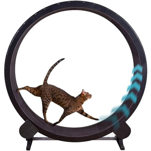 Katzen Laufrad aus Holz, Katzenlaufrad leise – Katzenlaufrad für Spiel und Fitness – Holz Laufrad für Katzen – Interaktives Katzenspielzeug – Laufrad Katze von DPDZSW