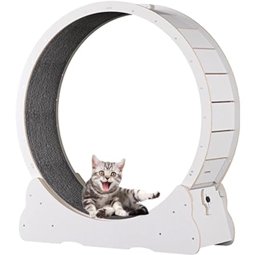 großes Katzen-Laufrad für Indoor-Katzen, Laufband zum Kratzen mit natürlicher Holzfarbe, Laufrad, Kratzbaum Karton für Katzenunterhaltung,Ivory-L von DPDZSW