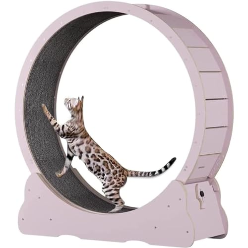 großes Katzen-Laufrad für Indoor-Katzen, Laufband zum Kratzen mit natürlicher Holzfarbe, Laufrad, Kratzbaum Karton für Katzenunterhaltung,Pink-L von DPDZSW