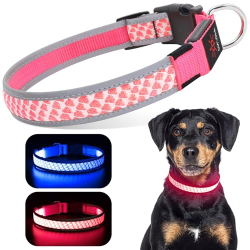 DQGHQME Leuchthalsband Hund mit 3 Leuchtmodi, LED-Leuchthalsband HundeAufladbar,Einstellbar Halsband Hund Wasserdicht für Kleine Mittlere Große Hunde(Rosa，L) von DQGHQME