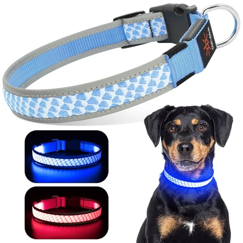 DQGHQME Leuchthalsband Hund mit 3 Leuchtmodi, LED-Leuchthalsband HundeAufladbar,Einstellbar Halsband Hund Wasserdicht für Kleine Mittlere Große Hunde(blau，L) von DQGHQME