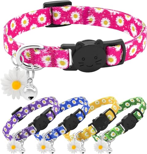 Katzenhalsband DQGHQME Halsband Katze, Katzen Halsband, Katzen Halsbänder, Blumenmuster, Katze Halsband, Katzenhalsbänder, Katzenhalsband Personalisiert, Ideal für Mädchen- und Jungenkatzen (Rosa) von DQGHQME