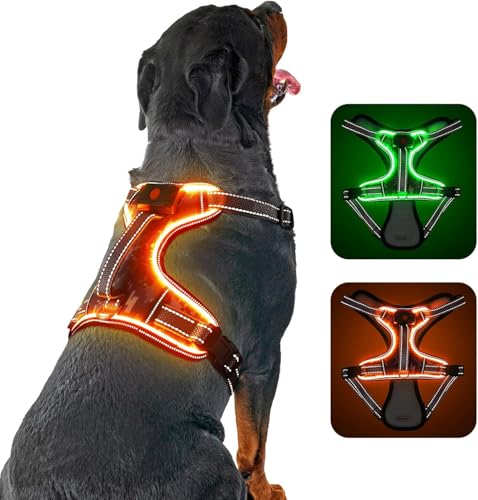 Hundegeschirr No Pull Licht Hundegeschirr Anti Pull Front Clip Hundegeschirr für kleine, mittlere, große Hunde Escape Proof Weiches gepolstertes Hundegeschirr mit Griff von DQGHQME