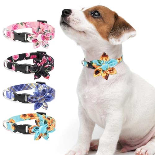 Hundehalsband DQGHQME Halsband Hund Verstellbare und Personalisiert mit Abnehmbarer Fliege, Weich & Komfort Hunde Halsband für Jungen, Katzen, Kleine, Mittelgroße und Große Hunde, Geschenk (S, Cyan) von DQGHQME