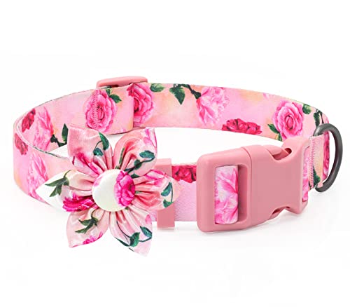Hundehalsband DQGHQME Mädchen oder Junge verstellbare, Weich & Komfort Halsband Hund, Hundehalsbänder mit Abnehmbarer Fliege für Welpen und Katze,Sommerblume Hunde Halsband mit Blumen Muster (M, Rosa) Hundehalsband DQGHQME Mädchen oder Junge verstellbare, Weich & Komfort Halsband Hund, Hundehalsbänder mit Abnehmbarer Fliege für Welpen und Katze,Sommerblume Hunde Halsband mit Blumen Muster (M, Rosa) von DQGHQME