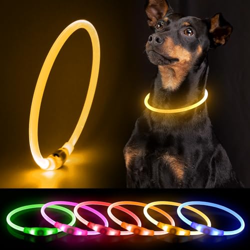 Hundehalsband Leuchtend DQGHQME LED Leuchthalsband Hund USB Aufladbar Wasserfest Leuchtendes Halsband Hund Langhaar Längenverstellbar für Kleine Mittel Große Hunde bei Nacht - mit 3 Leuchtmodi, Gelb von DQGHQME