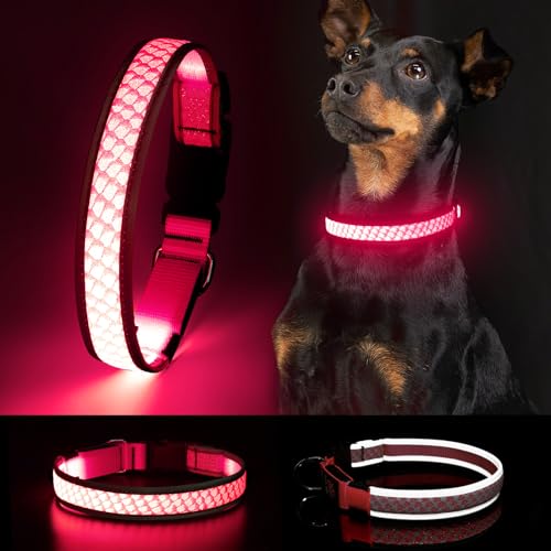 Hundehalsband Leuchtend DQGHQME LED Leuchthalsband Hund USB Aufladbar Wasserfest Leuchtendes Halsband Hund Langhaar Längenverstellbar für Kleine Mittel Große Hunde bei Nacht - mit 3 Leuchtmodi, Rot L von DQGHQME