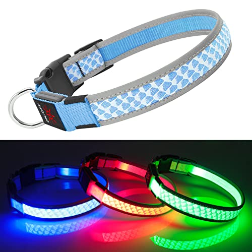 Hundehalsband Leuchtend DQGHQME Leuchthalsband Hund USB Aufladbar Anione LED Halsband für Hunde Verstellbares Reflektierendes Bezaubernd Leuchtendes Hundehalsband kleine, Mitte, Große Hunde (Blau) von DQGHQME