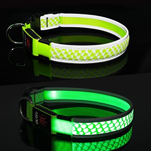 Hundehalsband Leuchtend DQGHQME Leuchthalsband Hund USB Aufladbar Anione LED Halsband für Hunde Verstellbares Reflektierendes Bezaubernd Leuchtendes Hundehalsband kleine, Mitte, Große Hunde (Grün) von DQGHQME