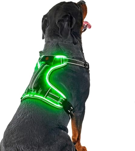 LED Hundegeschirr Leuchtend, Leuchtgeschirr für Hunde Aufladbar, No Pull Reflektierend Brustgeschirr Gepolstert, Anti Zug Hund Leucht Geschirr mit Griff Verstellbar für Kleine Mittelgroße Grosse Hunde LED Hundegeschirr Leuchtend, Leuchtgeschirr für Hunde Aufladbar, No Pull Reflektierend Brustgeschirr Gepolstert, Anti Zug Hund Leucht Geschirr mit Griff Verstellbar für Kleine Mittelgroße Grosse Hunde von DQGHQME