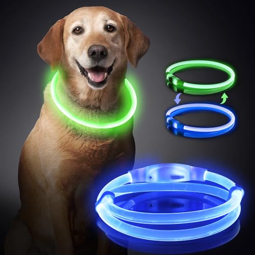 Leuchtendes Hundehalsband, über USB wiederaufladbares LED-Licht, wasserdichtes TPU-Material, einstellbare Größe, zweifarbiger Dual-Modus, geeignet für kleine, mittlere und große Hunde (blau und grün) von DQGHQME