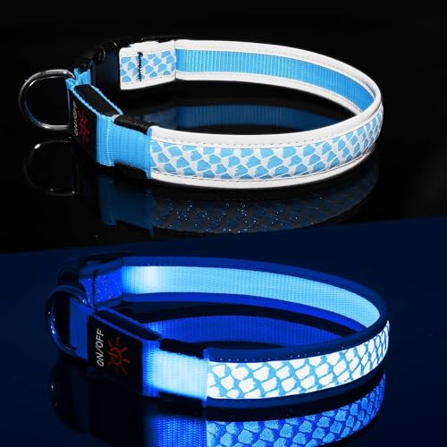 Leuchthalsband Hund Aufladbar DQGHQME Hundehalsband Leuchtend Reflektierendes LED Leucht Halsband für Hunde Wasserdicht Einstellbare Halsband für Klein Mittlere Große Hund für Sicherheit Nachts (Blau) von DQGHQME