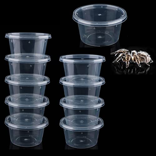 10 Stück Spinnen-Terrarien Zuchtbox klein rund Brutbehälter Acryl Futterbox für Spinne Skorpion Tausendfüßler Insekten von DQITJ
