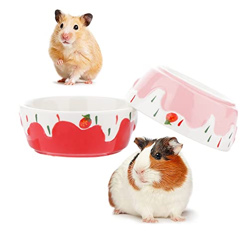 2 Stück Hamster-Keramikschalen, kleine Tiere, Anti-Dreh-Futter-Wasserschale für Kaninchen, Hamster, Meerschweinchen, Igel, Eichhörnchen (rosa und rot) von DQITJ