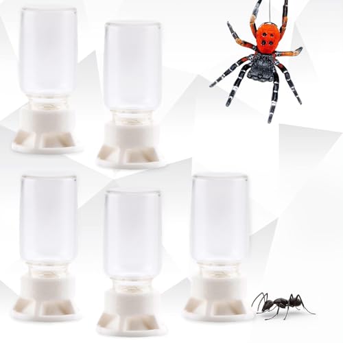 5 Stück Springspinne Ameisen Wasser Feeder Biene Kunststoff Wasserfütterung Vogelspinne Wassernapf Spinne Feeder (Kapazität:20ml) von DQITJ